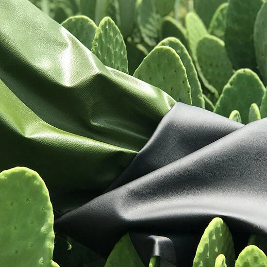 Cactus leather material with cactus plant