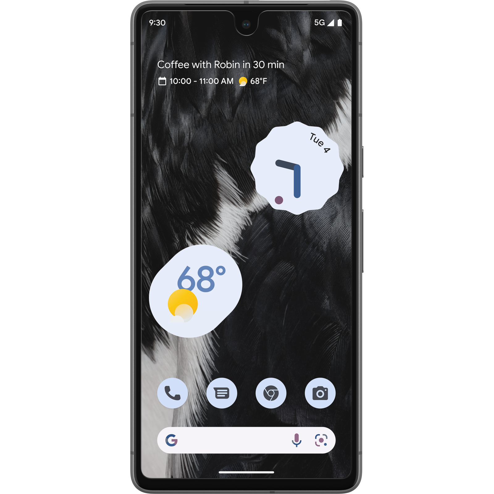 Pixel 7 Alpha Flex Screen Protector