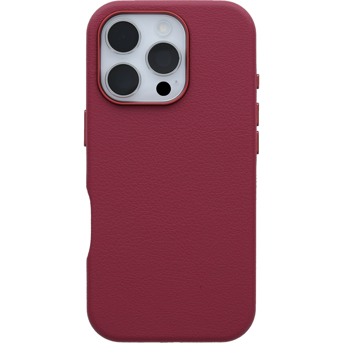 iPhone 16 Pro Symmetry Series Cactus Leather for MagSafe Case