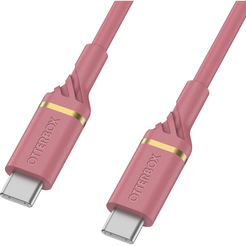 product image 1 - USB-C-naar-USB-C (1m) Fast Charge Kabel | Middensegment