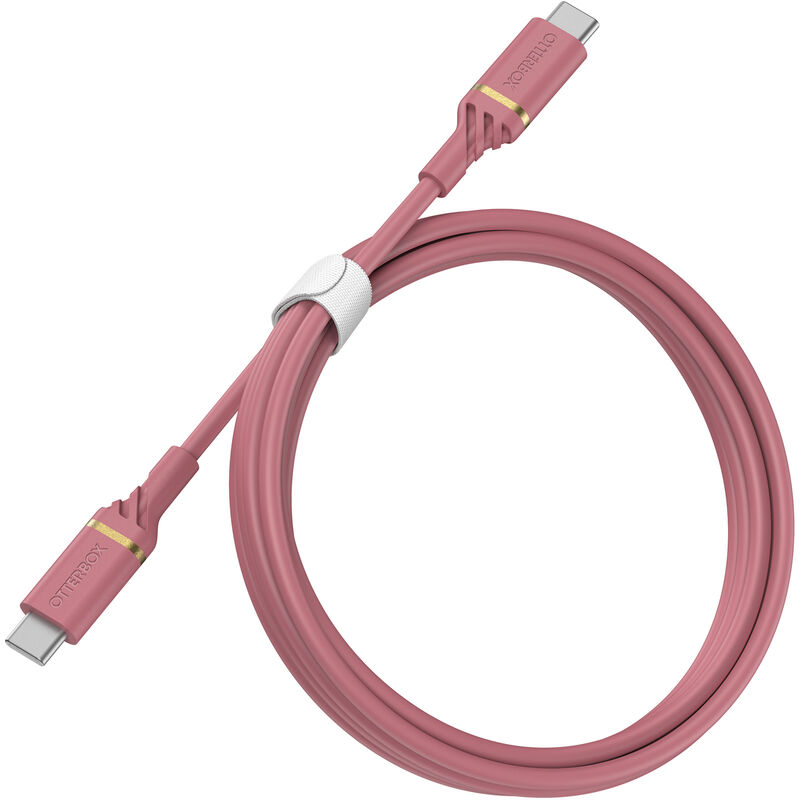 product image 2 - USB-C-naar-USB-C (1m) Fast Charge Kabel | Middensegment